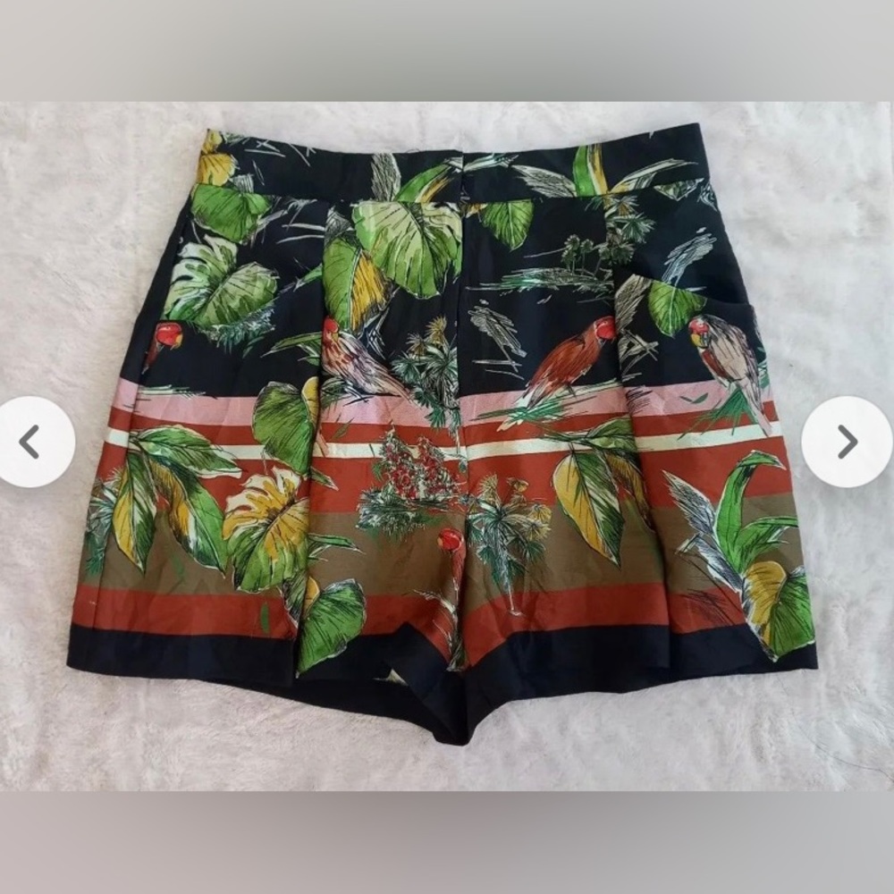 NOT SELLING!!! But desperately looking for these Zara shorts in size Large